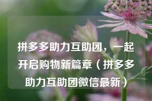 拼多多助力互助团，一起开启购物新篇章（拼多多助力互助团微信最新）  第1张