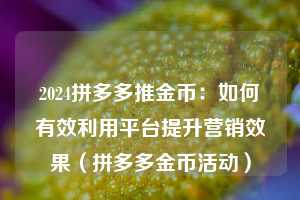 2024拼多多推金币：如何有效利用平台提升营销效果（拼多多金币活动）  第1张