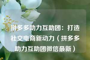 拼多多助力互助团：打造社交电商新动力（拼多多助力互助团微信最新）  第1张