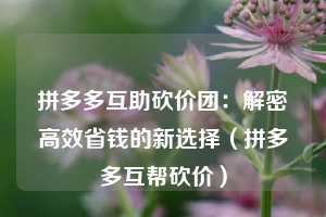 拼多多互助砍价团：解密高效省钱的新选择（拼多多互帮砍价）  第1张