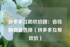 拼多多互助砍价团：省钱购物新选择（拼多多互帮砍价）  第1张