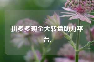 拼多多现金大转盘助力平台,  第1张