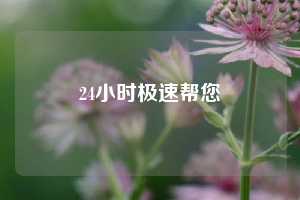 24小时极速帮您